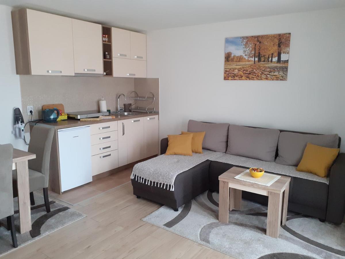 Apartman Nena Pirot Exteriér fotografie
